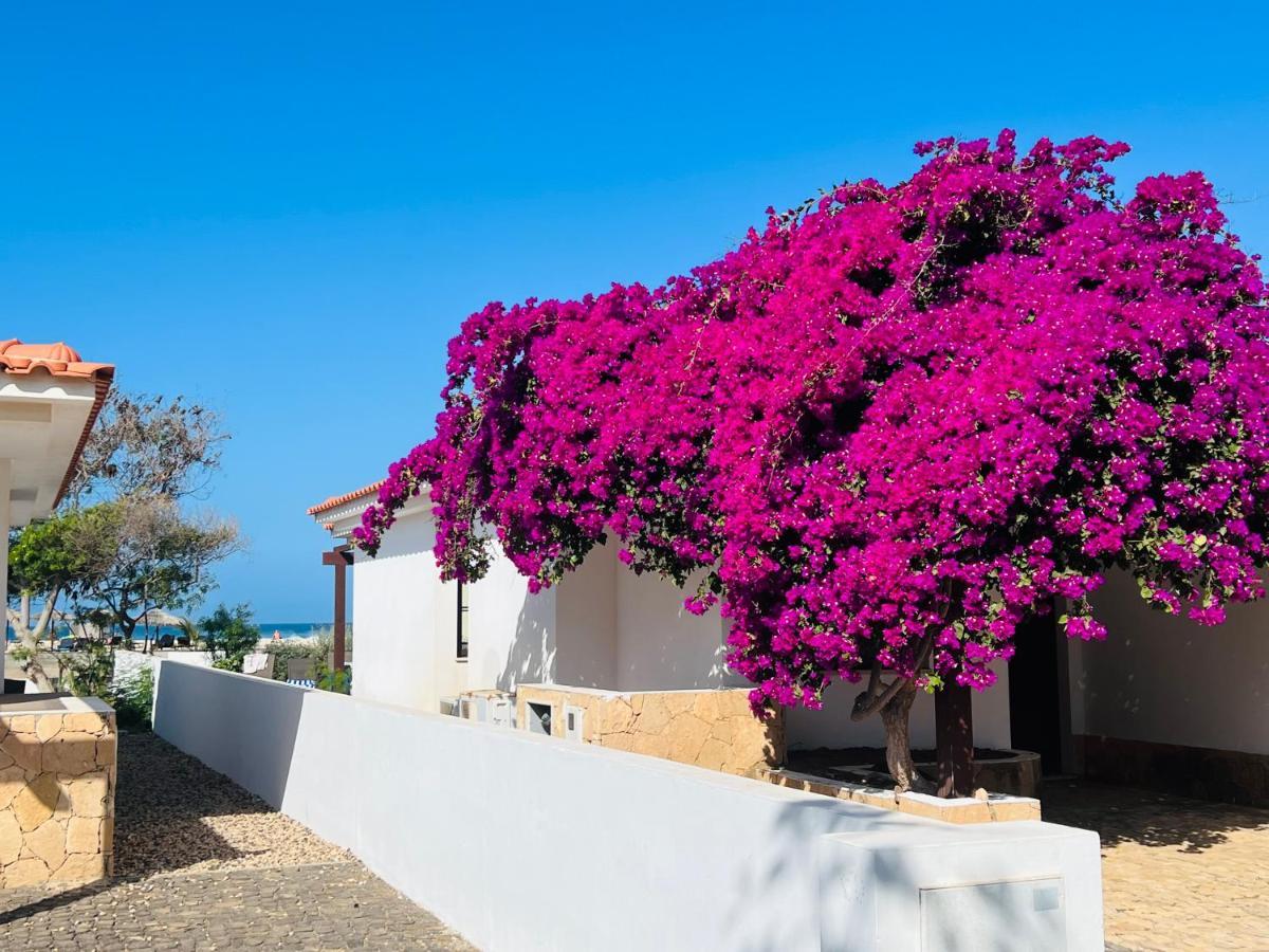 Villa With Privat Pool Near Beach Santa Maria Sal Kap Verde ภายนอก รูปภาพ
