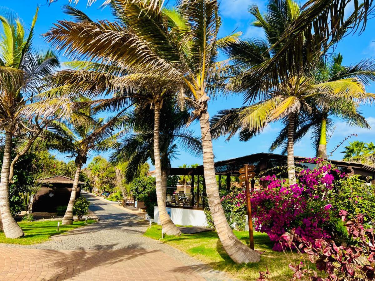 Villa With Privat Pool Near Beach Santa Maria Sal Kap Verde ภายนอก รูปภาพ