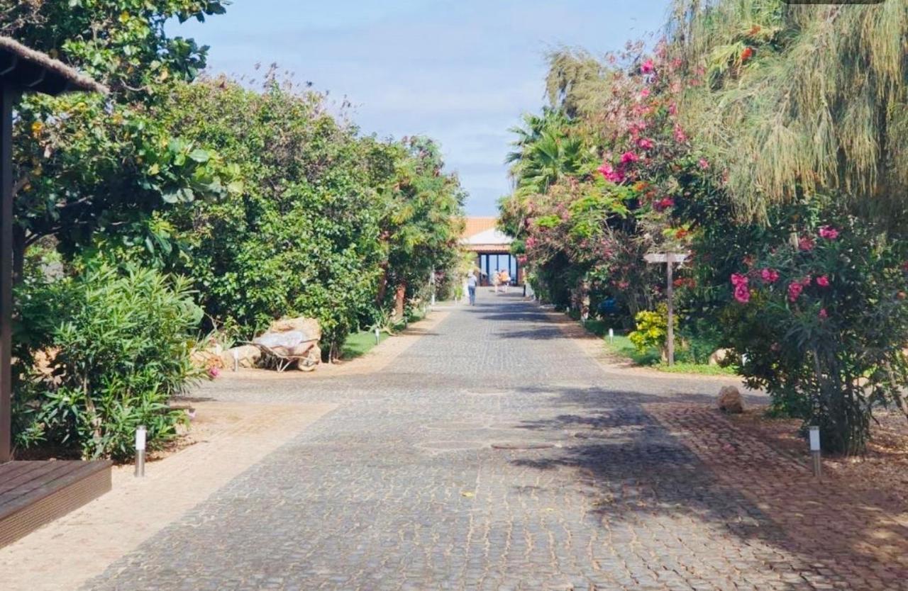 Villa With Privat Pool Near Beach Santa Maria Sal Kap Verde ภายนอก รูปภาพ
