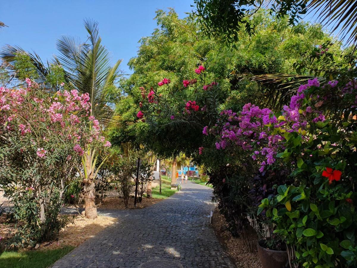 Villa With Privat Pool Near Beach Santa Maria Sal Kap Verde ภายนอก รูปภาพ
